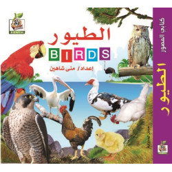 كتابي المصور " الطيور  "، مقاس الكتاب 15*15 سم